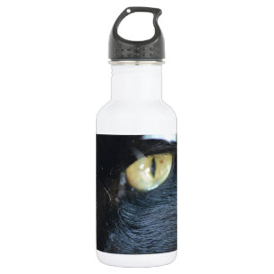 Eyeing van de kat u waterfles