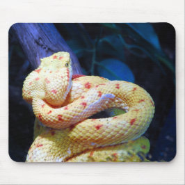 Eyelash Viper Muismat