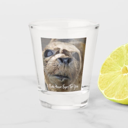 Eyes for You Harbour-zeehond Shot Glas (Voorkant)