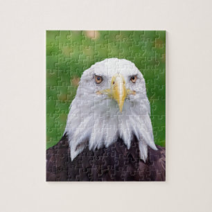 Eyes of a Bald Eagle Legpuzzel