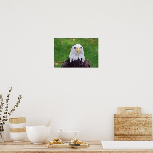 Eyes of a Bald Eagle Poster (Keuken)