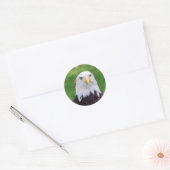 Eyes of a Bald Eagle Ronde Sticker (Envelop)