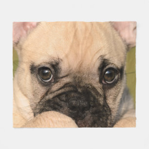 Eyes of Cute French Bulldog Puppy, comfort Fleece Deken