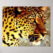Eyes of Leopard Poster Print (Devant)