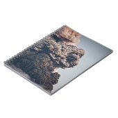 Eyjafjalljokull-vulkaanuitbarsting Notitieboek (Linkerzijde)