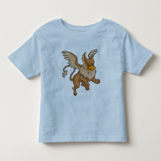 Eyrie Brown Kinder Shirts (Voorkant)
