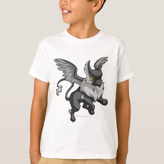 Eyrie Shadow T-shirt (Voorkant)