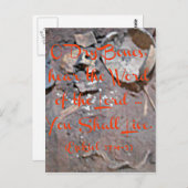 Ezekiel Bijbel met droge botten Briefkaart (Voorkant / Achterkant)