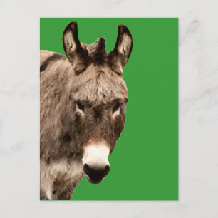 ezel briefkaart