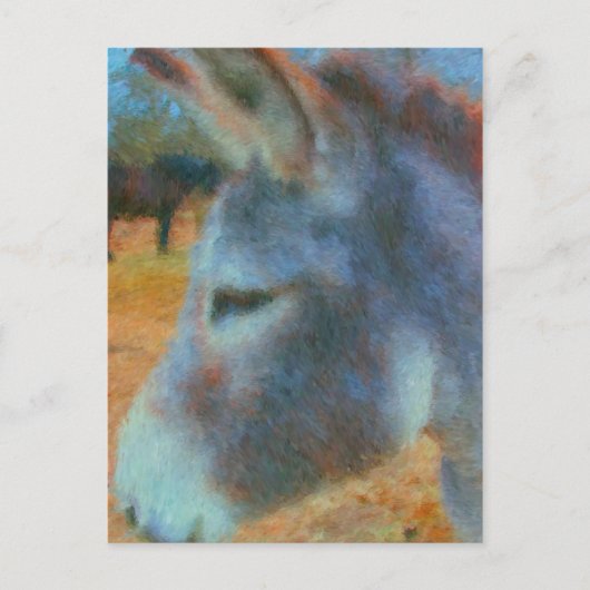 ezel briefkaart (Voorkant)