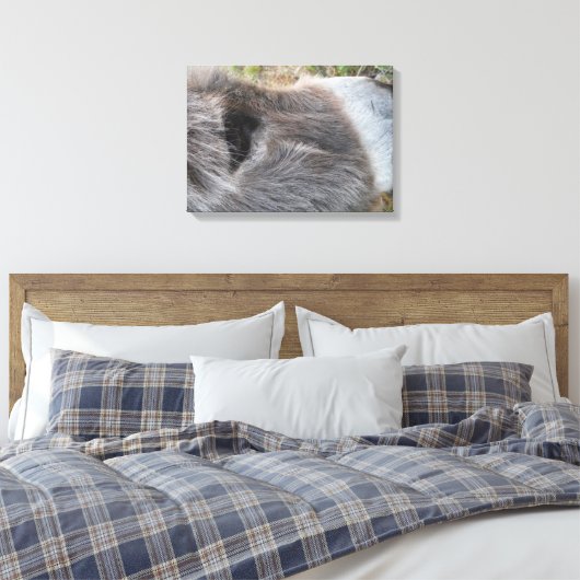 Ezel Close - Omhoog van Gezicht Canvas Afdruk (Insitu (Slaapkamer))