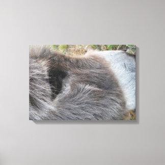 Ezel Close - Omhoog van Gezicht Canvas Afdruk