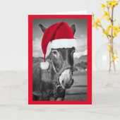 EZEL DRAAGT kerstmuts KERSTMIS KAART (Gele Bloem)