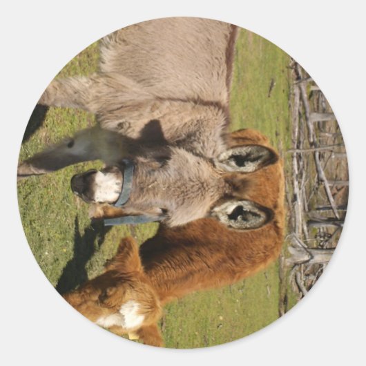 Ezel en Koe Sticker (Voorkant)