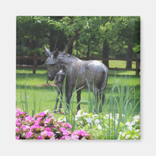 Ezel in de tuin magneet