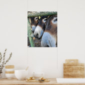 Ezel Liefde Poster (Keuken)