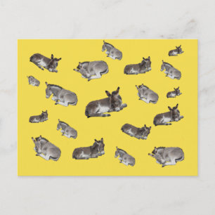 Ezel Mania Briefkaart