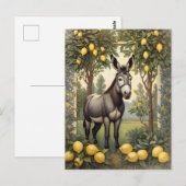  ezel onder de citroenbomen briefkaart (Voorkant / Achterkant)