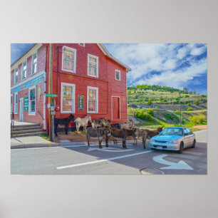 Ezel Ontvangstcommissie, Cripple Creek Colorado Poster