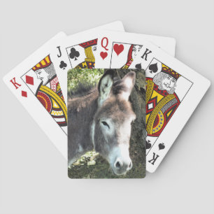 EZEL POKERKAARTEN