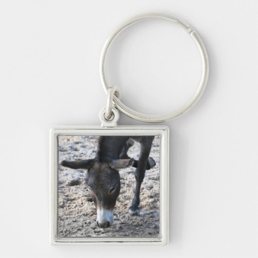 Ezel Sleutelhanger (Voorkant)