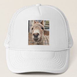 "Ezel" Trucker Pet