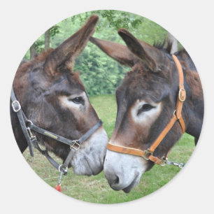 Ezel vrienden ronde sticker