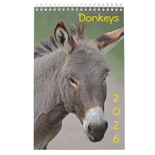 Ezelskalender Kalender (Hoes)