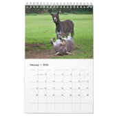 Ezelskalender Kalender (Feb 2026)