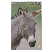 Ezelskalender Kalender (Hoes)