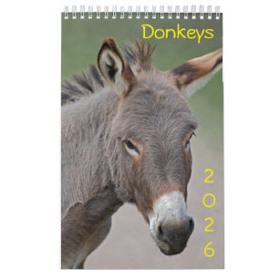 Ezelskalender Kalender