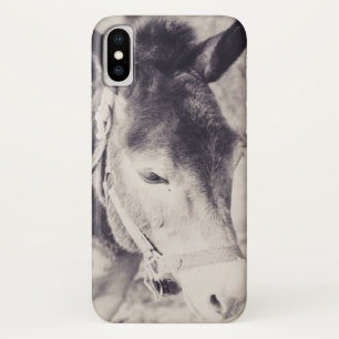 Ezelskop 001 iPhone x hoesje