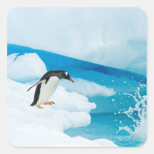 ezelspinguïn, Pygoscelis Papua, springt eraf Vierkante Sticker