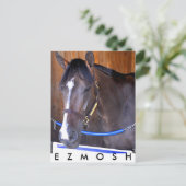 Ezmosh Briefkaart (Staand voorkant)