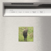 Ezo Deer Magneet (Insitu (Vaatwasser))