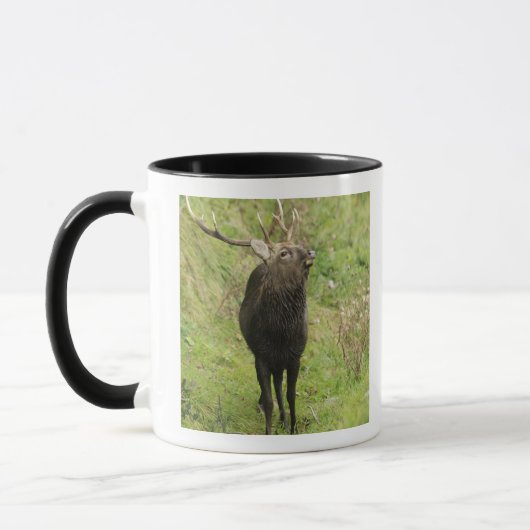 Ezo Deer Mok (Links)