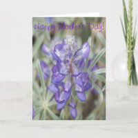 F0018 Paarse Wilde Bloemen Eenjarige Lupine