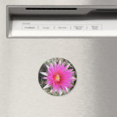 F12 Ball Cactus Flower "Escobaria vivipara" Magneet (Insitu (Vaatwasser))