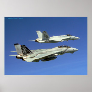 F14 en F18 Poster