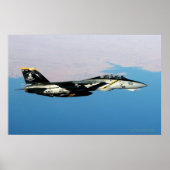 F14 Jolly Rodger over Irak Poster (Voorkant)