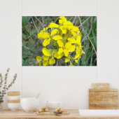 F14 Kleine gele wilde bloemen Poster (Keuken)