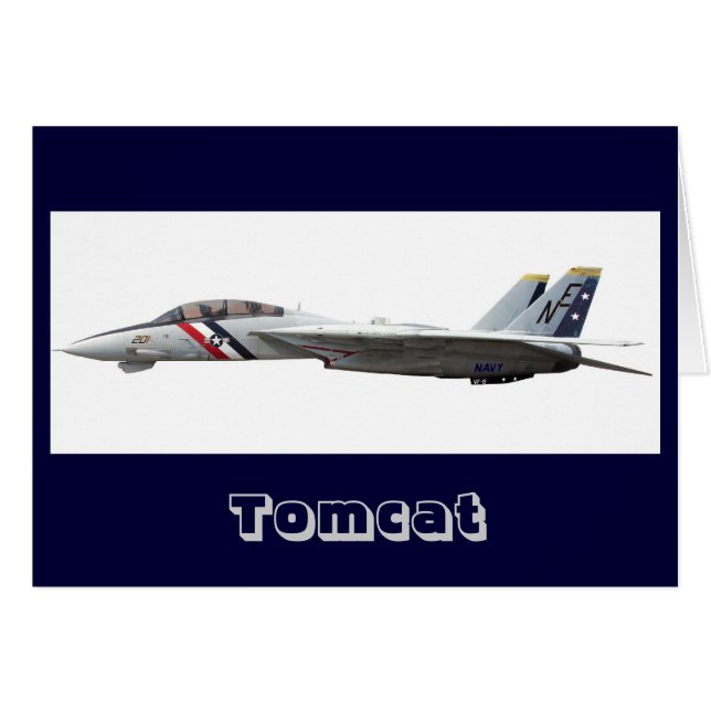 F14 Tomcat (Voorkant Horizontaal)