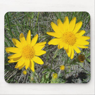 F15 Gele Wilde Bloemen Sneezeweed Muismat