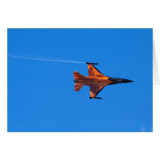 F16 Strijd tegen valk