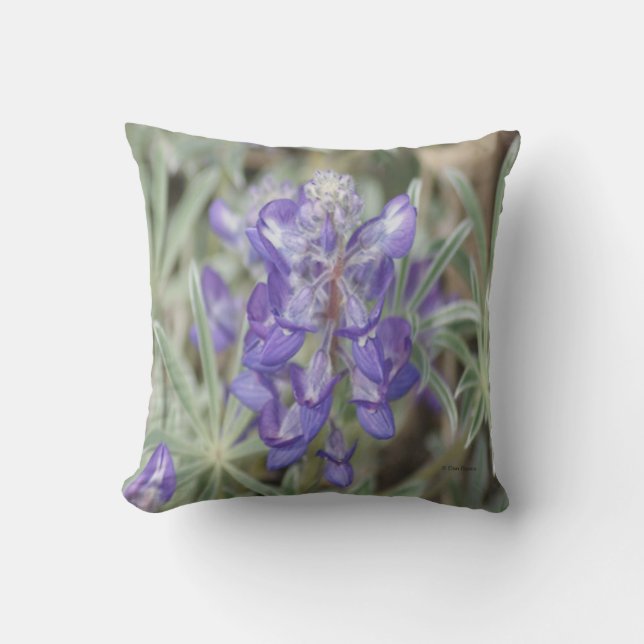 F18 Paarse wilde bloemen Kussen (Voorkant)