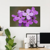 F19 Paarse Wilde Bloemen Dames Raket Poster (Thuiskantoor)