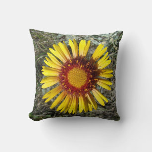 F1 Gele Wilde Bloem Gaillardia Kussen