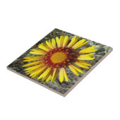 F1 Gele wilde bloem Gaillardia Tegeltje (Zijkant)