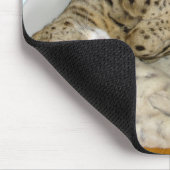 F1 Savannah Cat kinky Mousepad Muismat (Hoek)