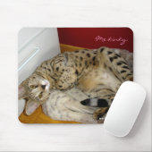 F1 Savannah Cat kinky Mousepad Muismat (Met muis)